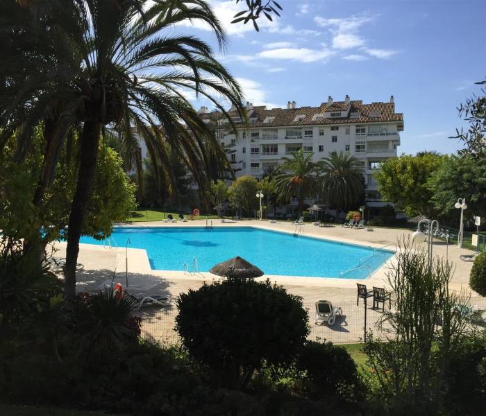 apartments for sale torre real